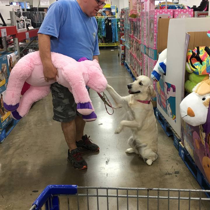 D61b22bd 3480 41e2 8e10 c5ae47ef59c7