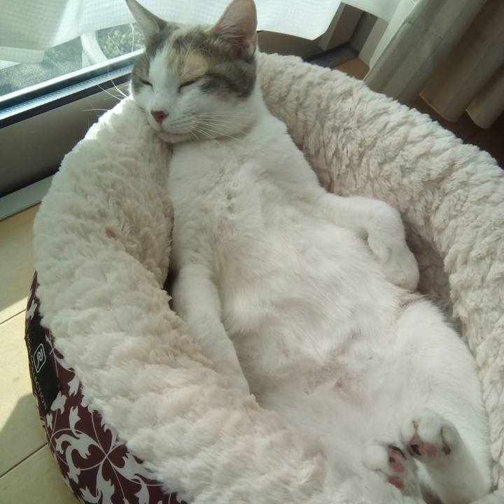 D61b7695 5cee 4bbe 9434 735b205ffc93