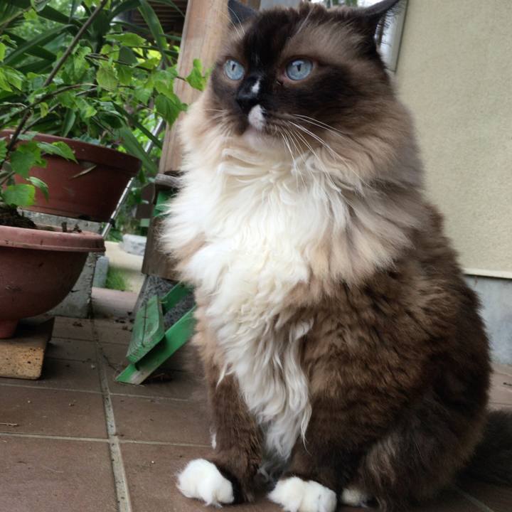 D61bb2d7 70ab 4c9a a2f6 5130a135bfba