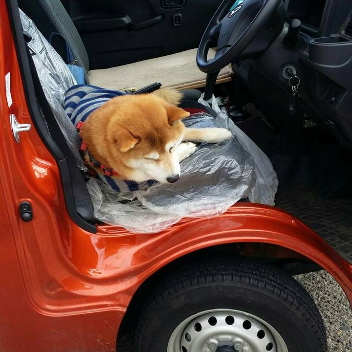 D61bef2b b9c1 4b7f 8571 930a4e66c5a7