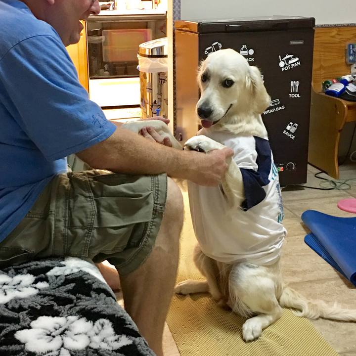 D61dd63b ce71 40d7 8e5b 903d4f68b0c7