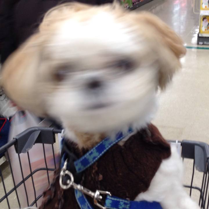 D61e6d92 5ea2 4380 ba20 275575600cd6