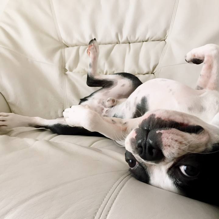 D61fb7b8 71ff 457b 8e11 6249c5aad0b9