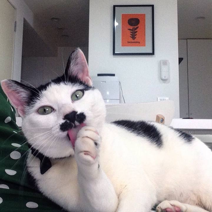 D6200129 976f 4b47 8e57 5eb8933b70d5