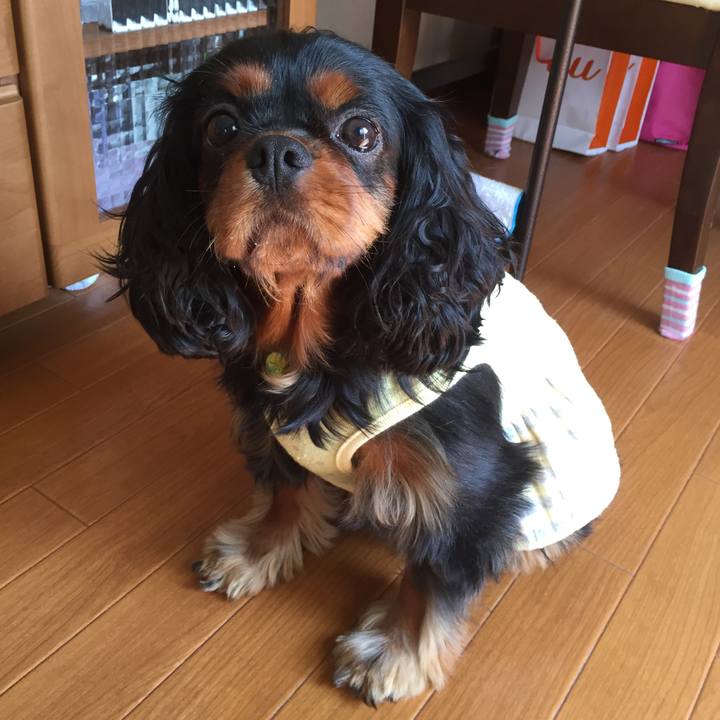 D62002e3 6240 462e 922b 17e953ba9a27