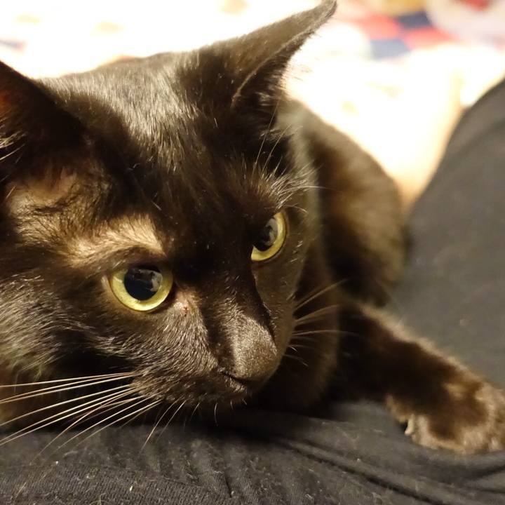 D620c34e 6bf7 4b7d 9a3b ed0b1bf2221b