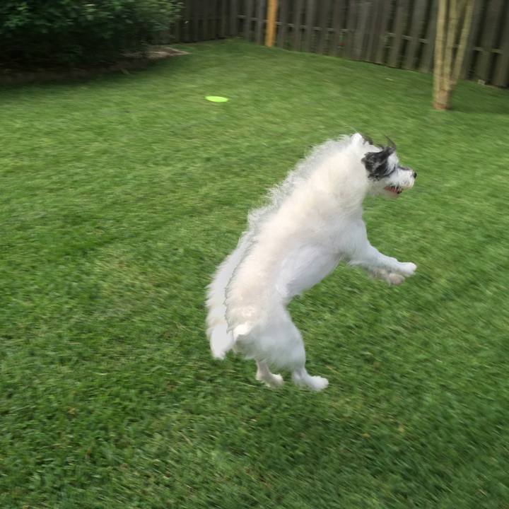 D621084e 152a 4485 bffe f67d7e4560f6