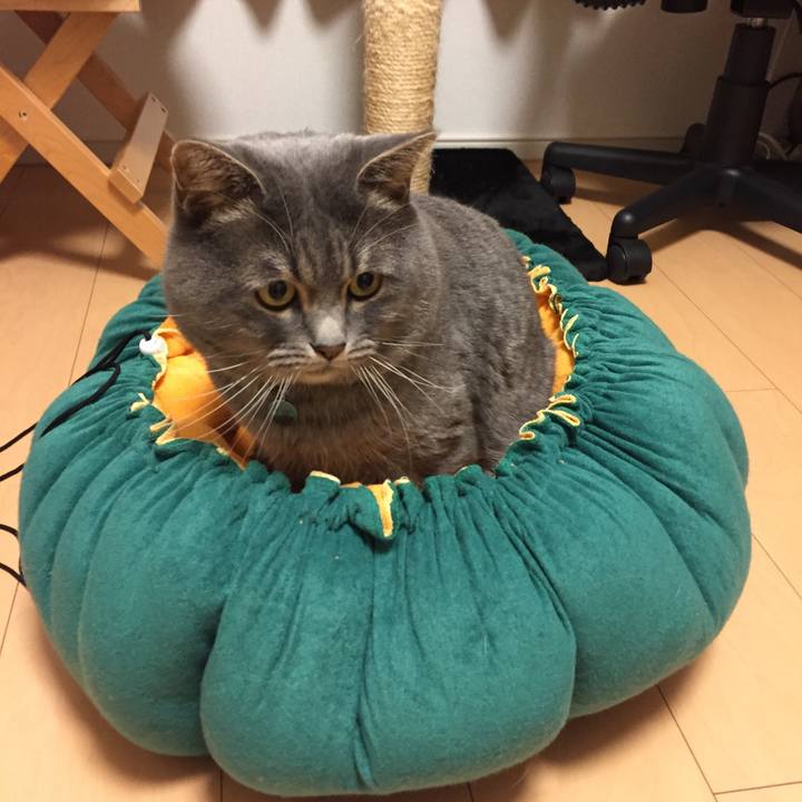 D621664e f461 4039 bd4e cb08dd8b70d2