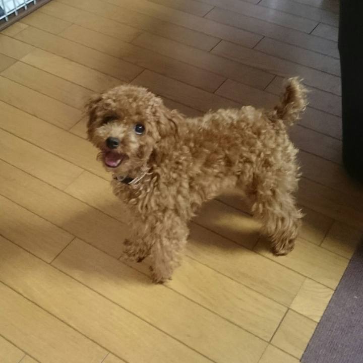 D6218f4c ffcc 425c 8199 c5084e4022a2