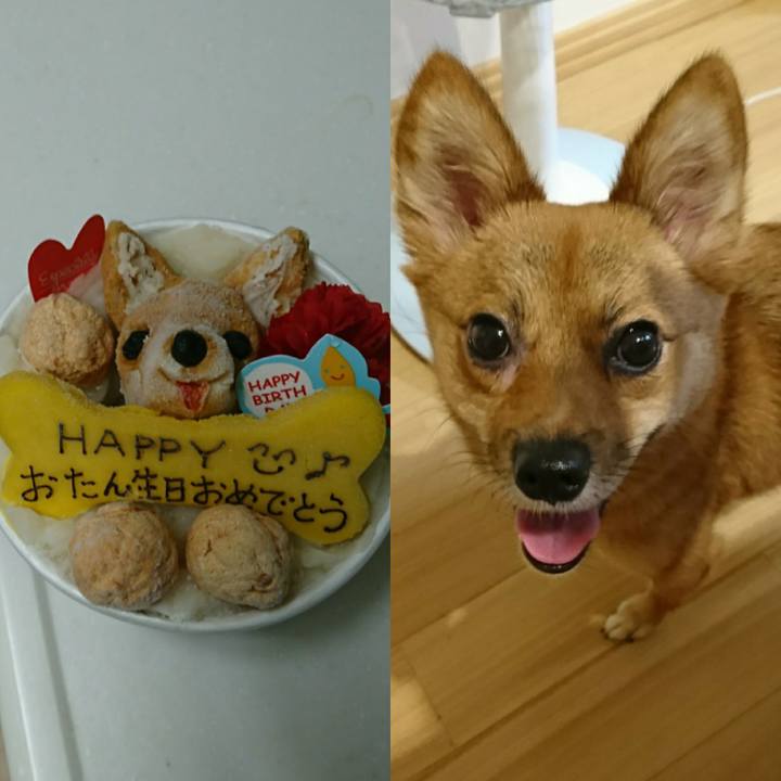 D621a216 ca22 4ef6 b49a b8e540d7ebd2