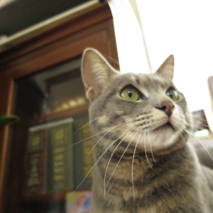 D622bd25 0ffb 46bd a988 649c144c3dbe