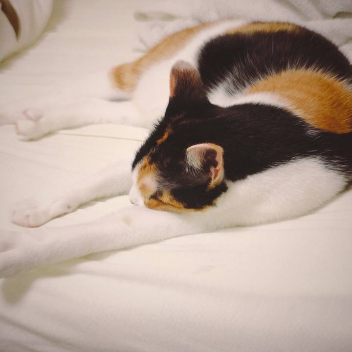 D622cb94 a54d 4fa1 ad91 87b3b49fe773