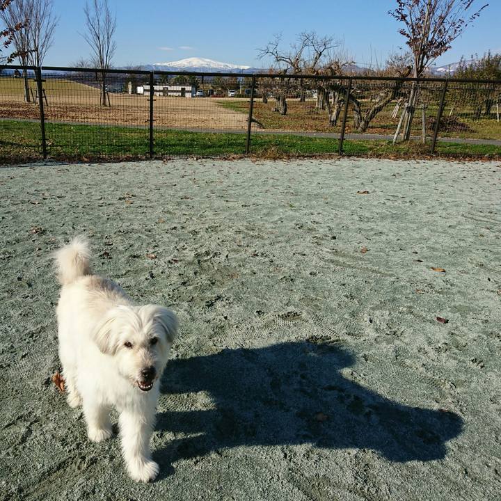 D623296a fde1 42bc 8bef 8c932a9fff6a