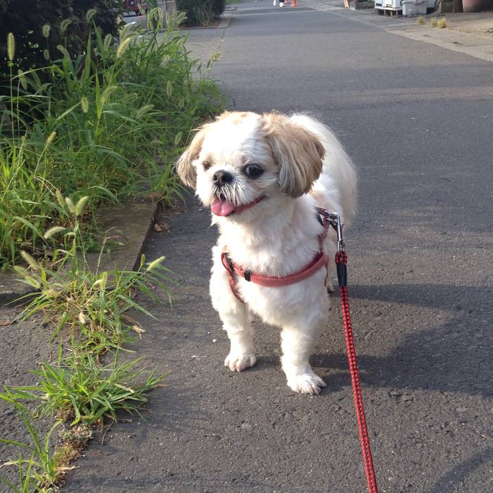 D6239178 b5ab 452e b4fa c5ea7ee514ec