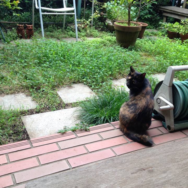 D62406d2 79b7 4652 ba48 6f05a1474be1