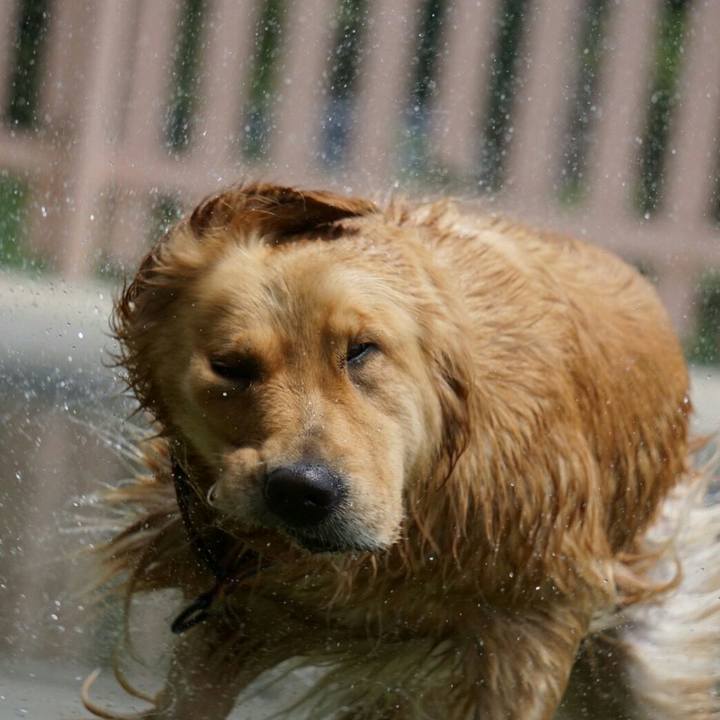 D6249093 0091 4847 aa05 048ce37a1e77