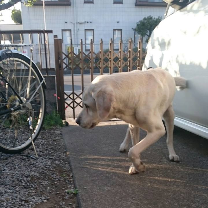 D62515ad 9217 48c6 8f59 c70cf82e5bf1