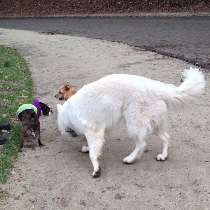 D6251962 df85 494b a7b0 0fd88744c78d