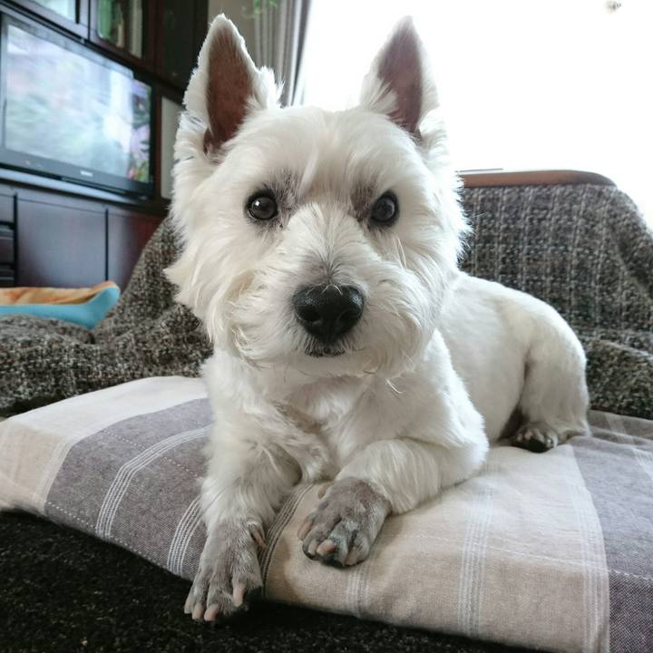 D625b585 78b6 4e5f 9f86 f1d9b37d12a7