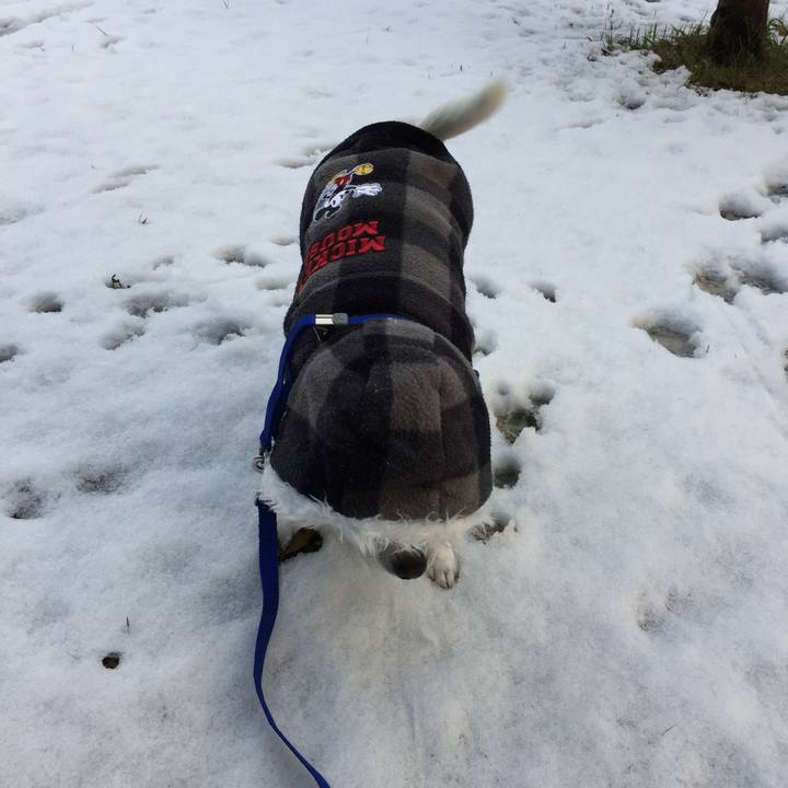 D625f87b 18fd 4f78 a3da d33ef8322d82