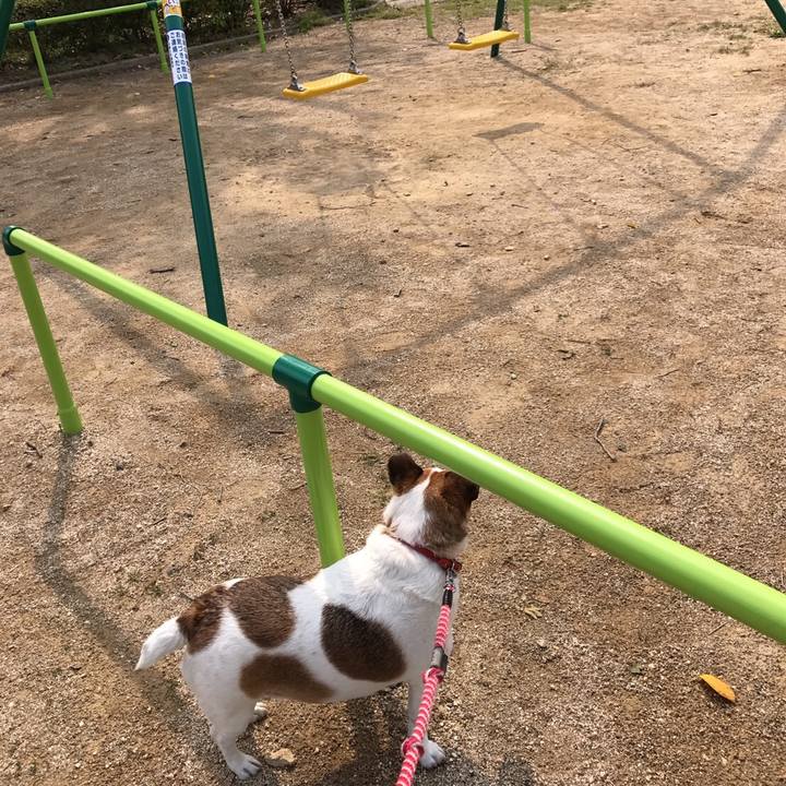 D6277565 2fd5 405a af2a b5c7453f5703