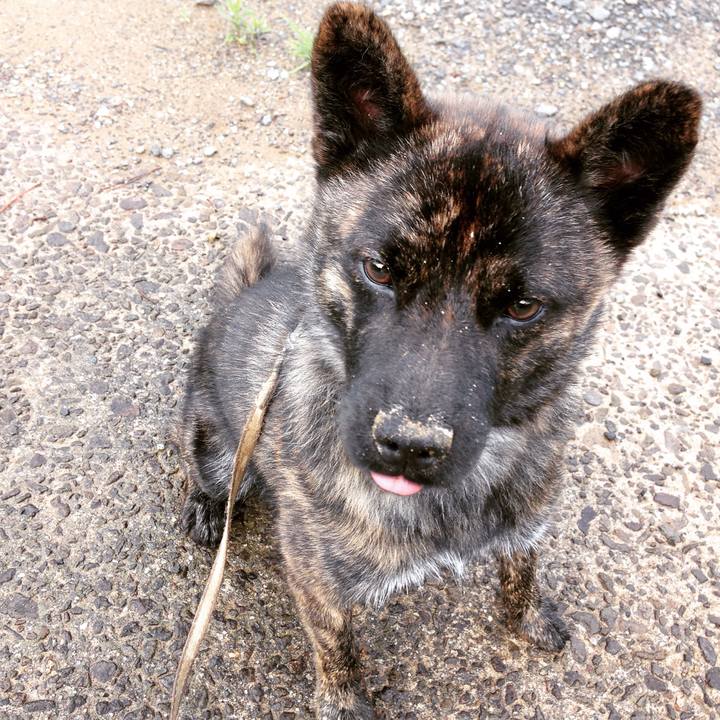 D6286dd6 b76b 4c2f a7d4 a03bdba157fb