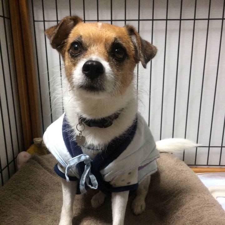 D628920e ac72 41a1 896d ba577d63f788