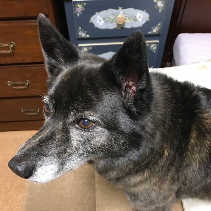 D62992da a96a 4cf2 bf14 a4ecdadbd9bd