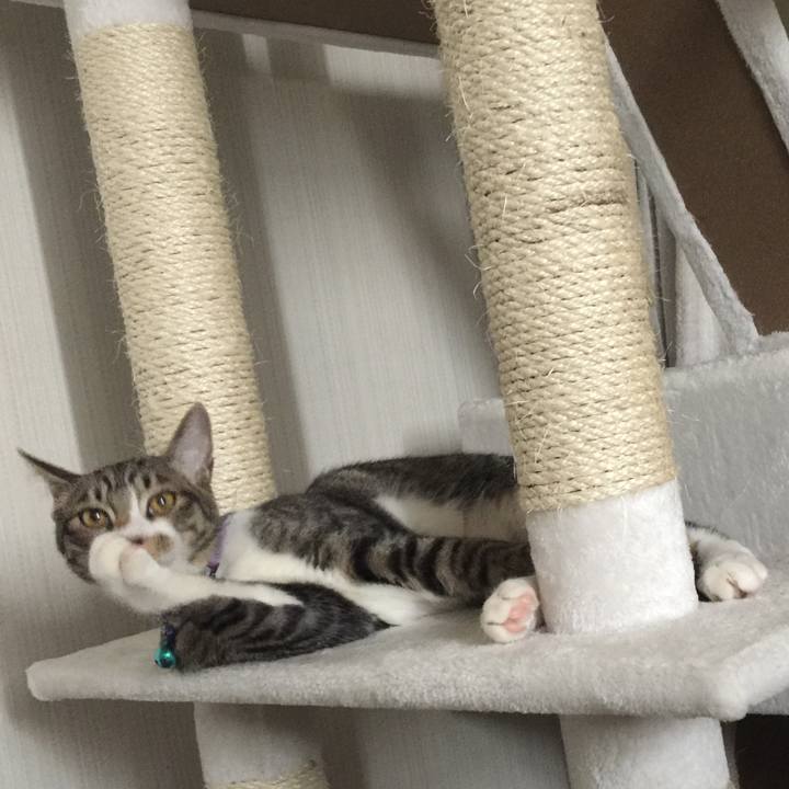 D629b726 c820 40a5 ad99 7222622a62a9