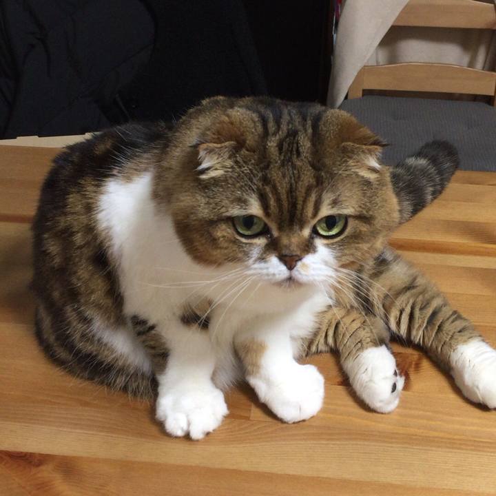 D629d82e 45e9 490b bd18 8771b9db3aa9