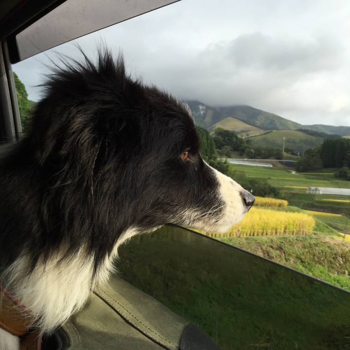 D62b0455 fd6d 476e baaa a254d74e72b7