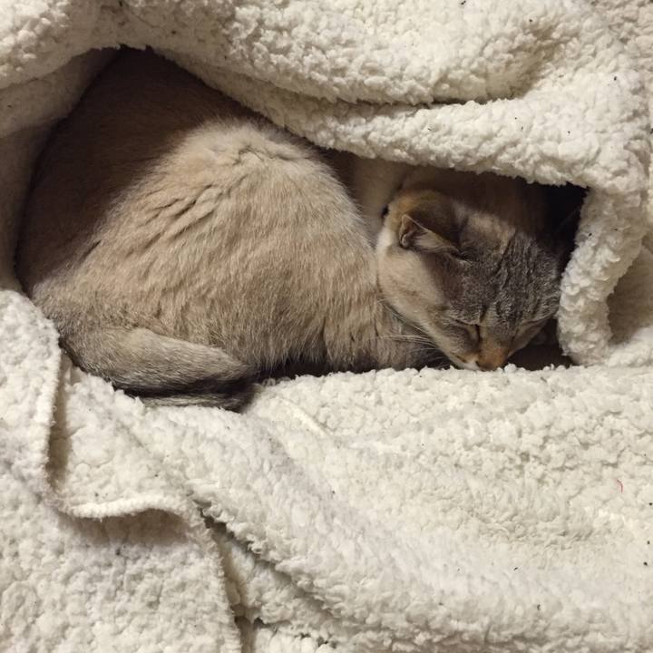 D62c154f eb7f 402d 9d83 f0288e219524