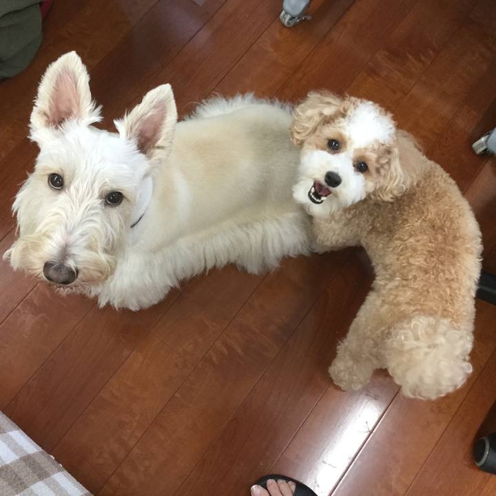 D62c195b f3ac 4b1b b022 3071e1c5e568