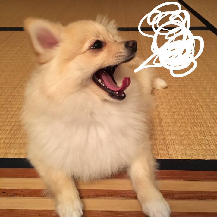 D62c1a4f 89cd 4ce8 ba5b 8fcfc4a2ba70