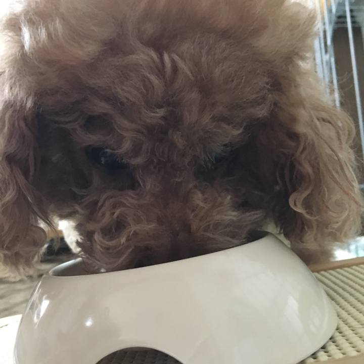 D62c2a9b 4865 44c3 9ccb befdbeb16c4e