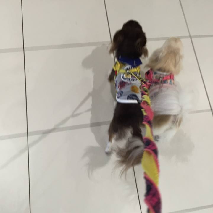 D62d01cc b298 4996 8bc5 79d20f08cf0c