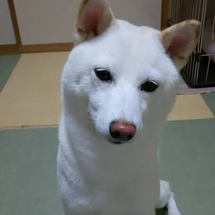 D62d2162 22d0 4ddb ac4e 039df6a4d1cb