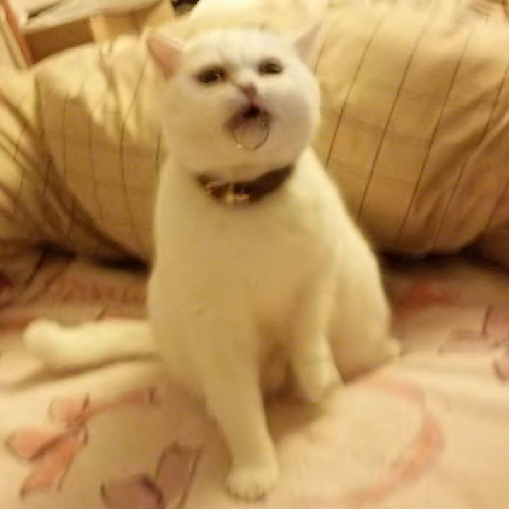 D62d469f c34e 4f72 9cdb 69ea2fa16be5