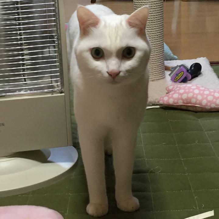 D62db4ab 70a0 4c2c aff1 0a75d8873f78