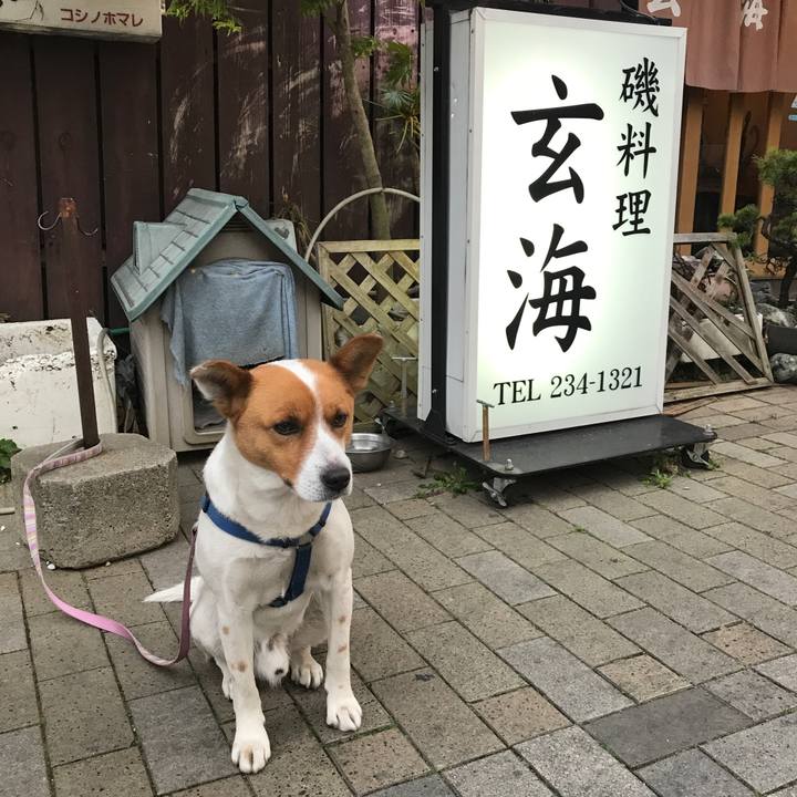 D62e8b35 3806 4530 9da7 d53c2d65dc16