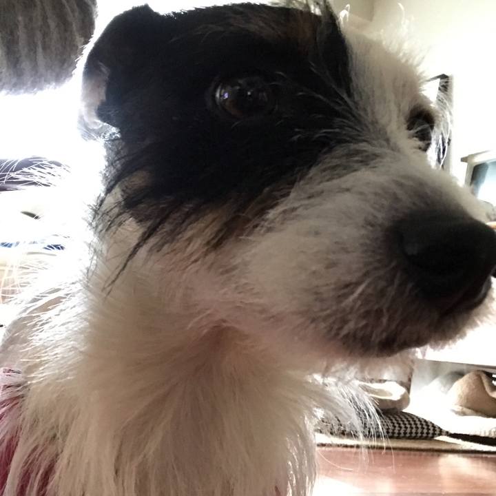 D62f013e a4d1 4d0a 9af6 e04a611b6049