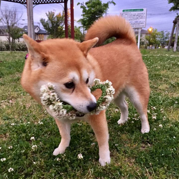 D62f22a5 6498 4c5b 9417 ef37e2b7fc0a