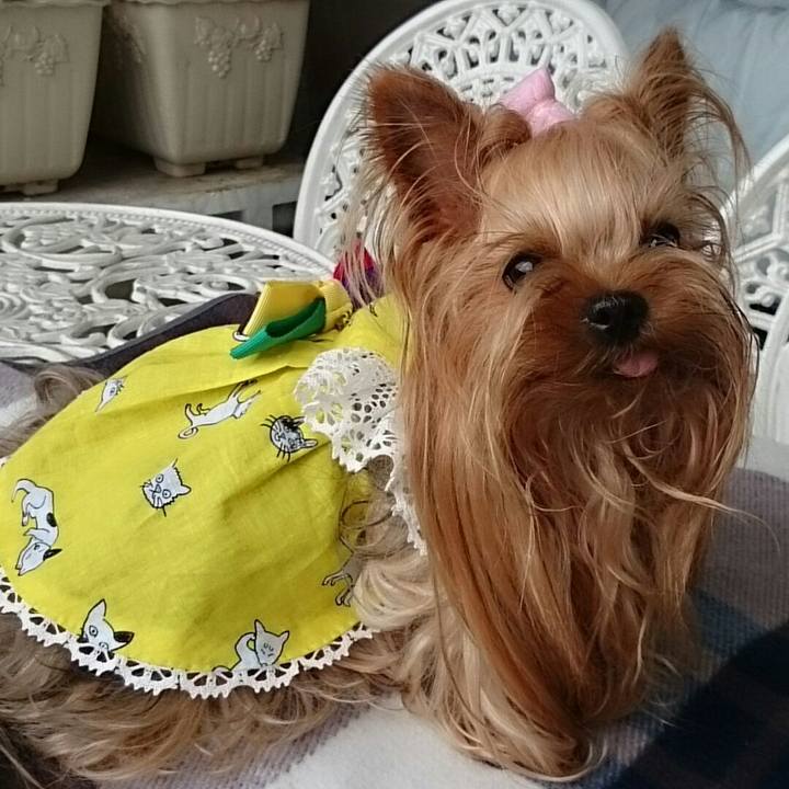 D62f22b6 103e 4487 b289 2bfb341f3bc2