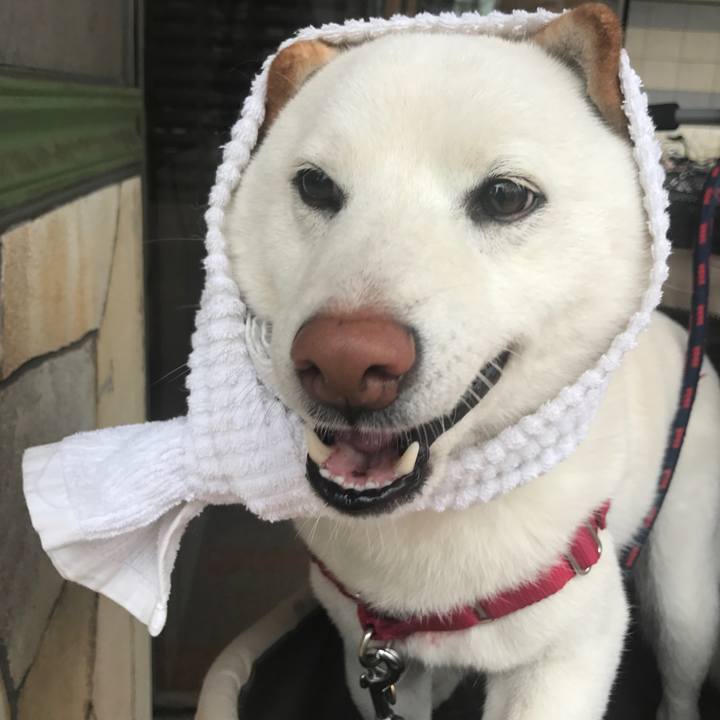 D62fd48a 9cb6 4033 a070 1704ab5153d9