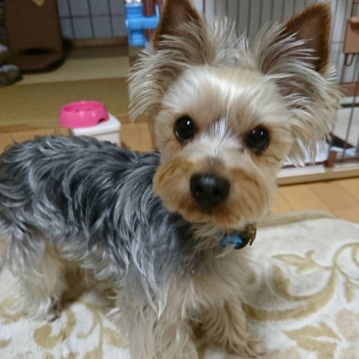 D630e568 9fe8 4ced aab8 df2baeee0c04