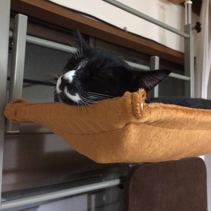 D6315a42 a7e7 4741 a87e a1c307a850b2