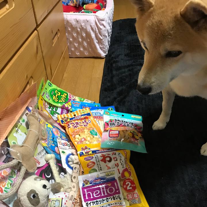 D632d6fd 0465 49fb a9e4 998b8b9b5e4e