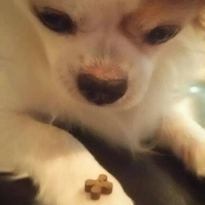 D633a41d 0049 4998 8f87 e37b2ff44165