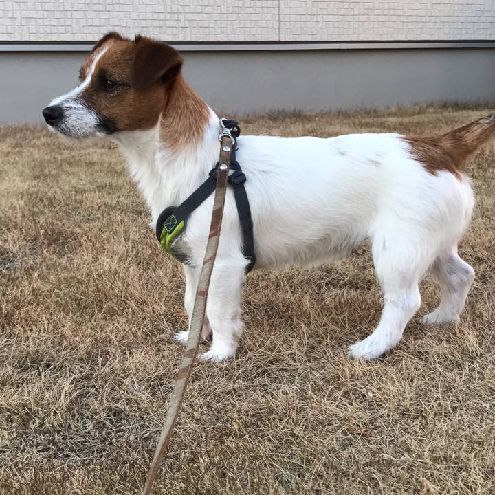 D633a99b 952d 4c7c 9d0d 72f86cd17a03