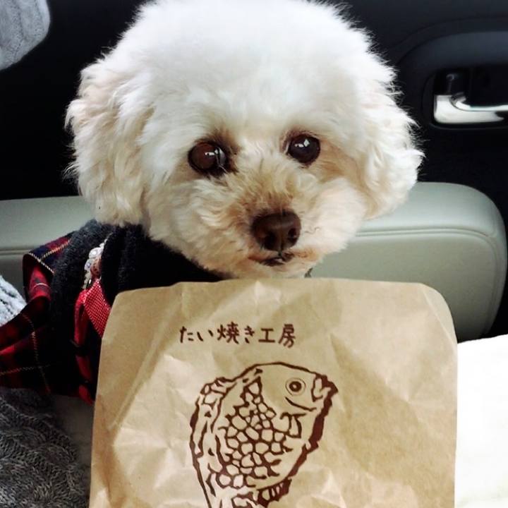 D6343d5a 0a7f 4ce9 8e9c f6ce130f9e91